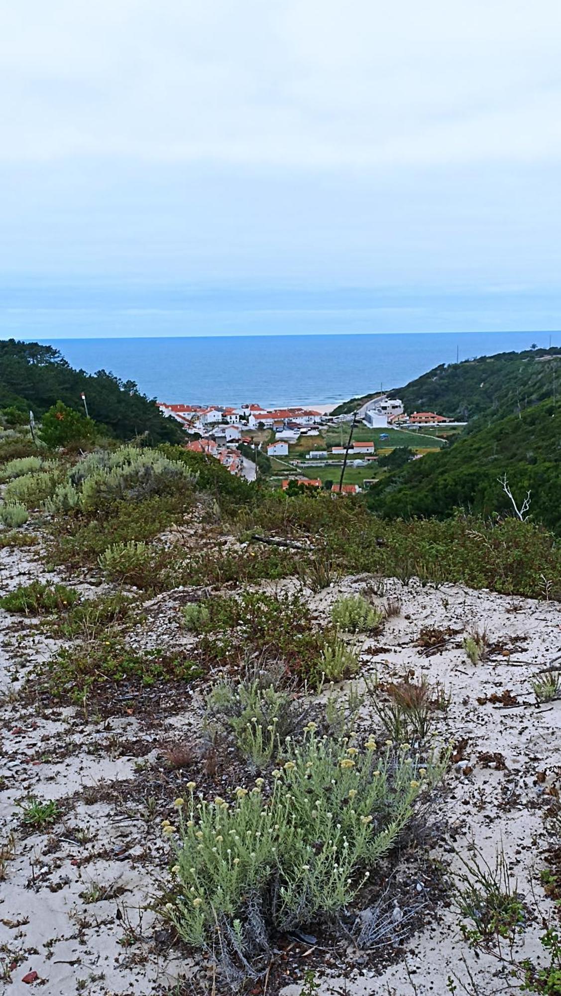 Appartement Tilda Private - 14 Km To Nazare Pataias